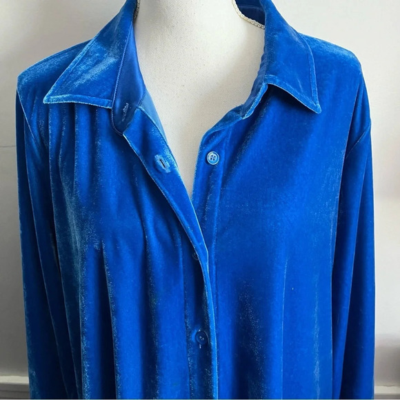 Soft Surroundings • Blue Velvet Boyfriend Tunic Long Sleeved - Picture 4 of 4
